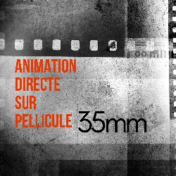 Initiation à l'animation directe sur pellicule 35mm